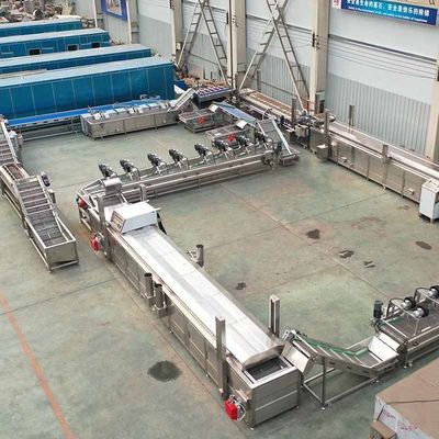 자동 등급 및 열 처리 장치가있는 감자 칩 기계