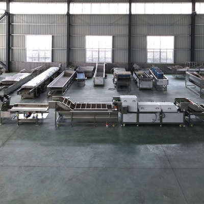 1500kg/H 용량 스테인레스 스틸 과일과 채소 거품 세탁기