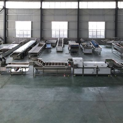 500kg 산업용 과일과 채소 청소용 세탁 및 블랜싱 기계