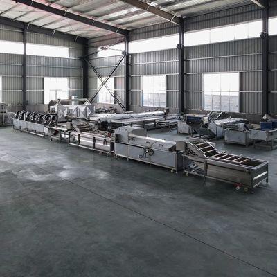 500kg 산업용 과일과 채소 청소용 세탁 및 블랜싱 기계