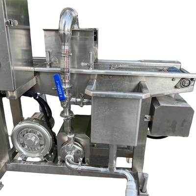 380V 전압 BDM200/300/400/600 제품용 새우 생선 및 고기 공을 때리는 기계