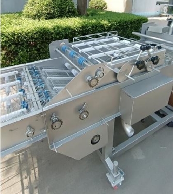 자동 해산물 찌기 기계 500kg / H 열 처리 및 자동 등급